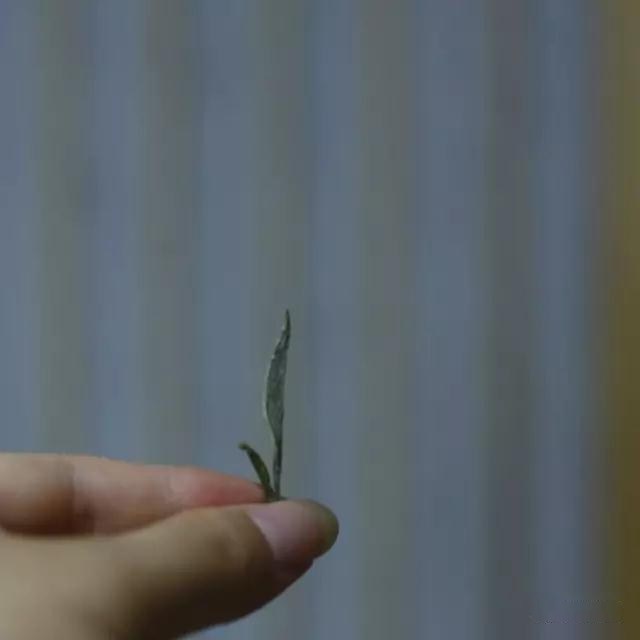 8_副本