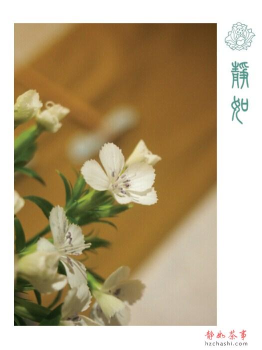 5_副本