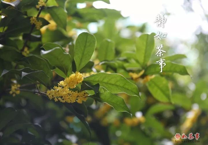 10_副本