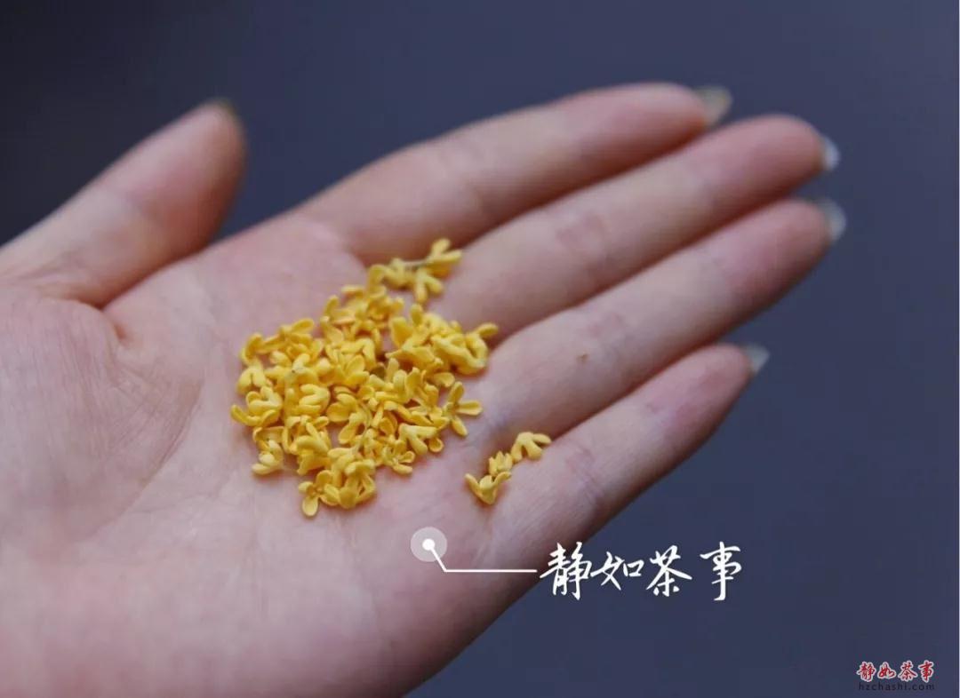 21_副本