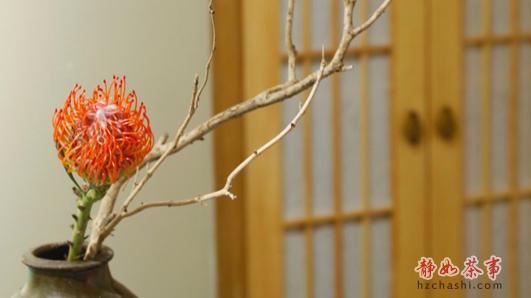 未标题-5